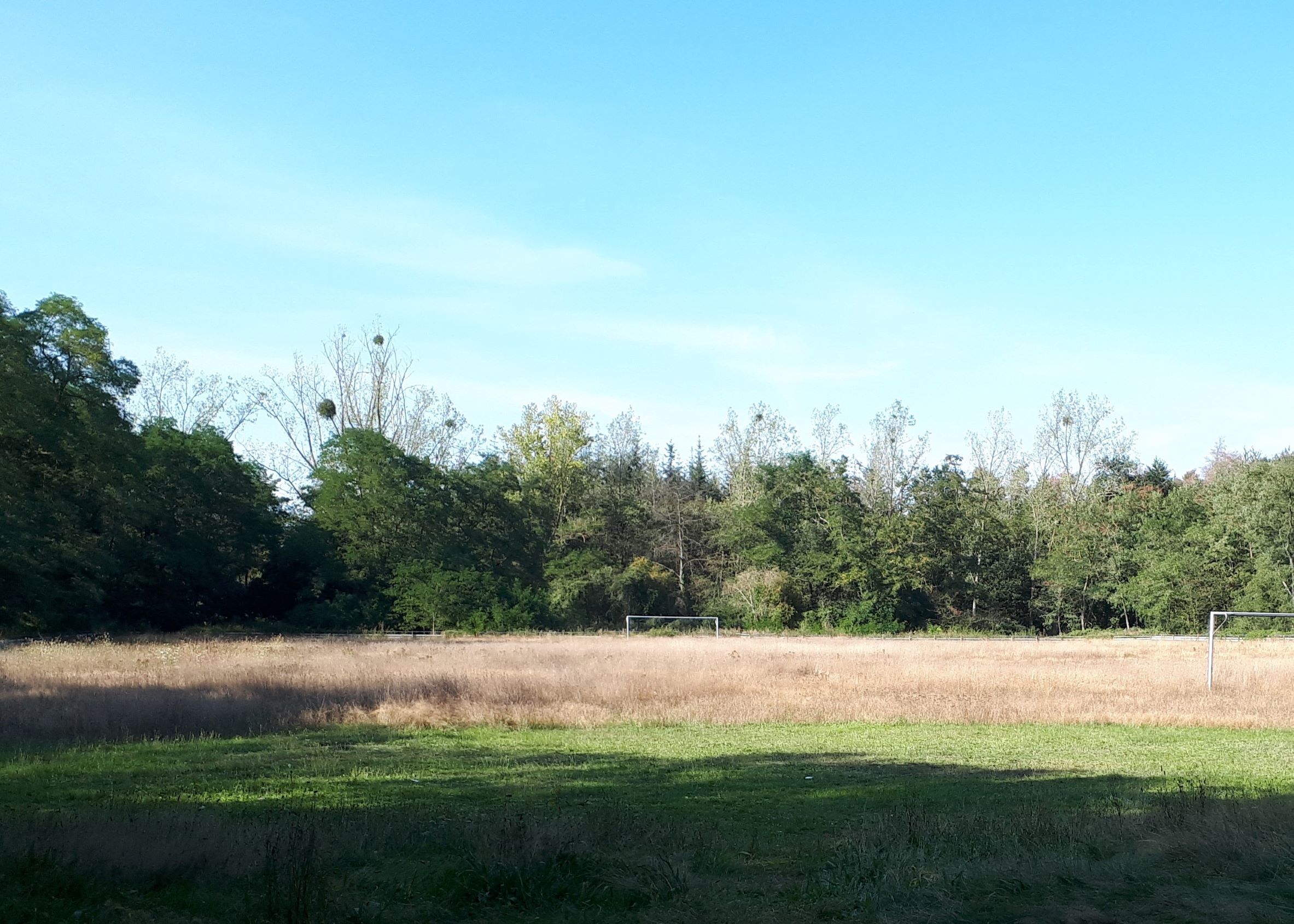 Sportplatz Swisterberg